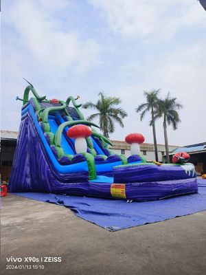 Marble Wall Mushroom Kingdom Inflatable Water Slides With Pool