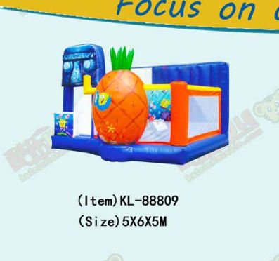 Inflatable Bouncy Castle For Childrens Physical Development
