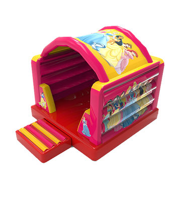 Disneyland Princess Small Inflatable Jumping Castle For Kids