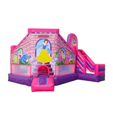 Inflatable pink purple Disneyland Princess Bouncy Castle for kids
