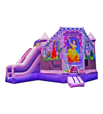 Pink And Purple Inflatable Play Castle For Outdoor Amusement
