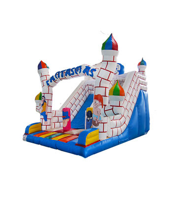 Childrens Playground Commercial Inflatable Slides For Rentals