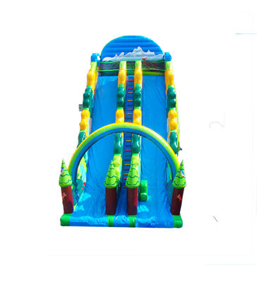 Blue Color Children Fun Park Inflatable Large Slide For Rentals
