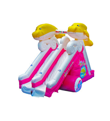 Dolphin Double Lane  Inflatable Slide For Children Fun Park