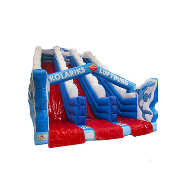 Kids Playground Dolphin Double Lane Slip And Slide For Rentals