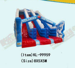 Kids Playground Dolphin Double Lane Slip And Slide For Rentals