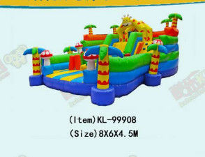 Outdoor And Indoor Inflatable Slides For Kids And Adults