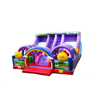 Customize Large Two Lane Slides Purple Inflatable Bouncer Slide