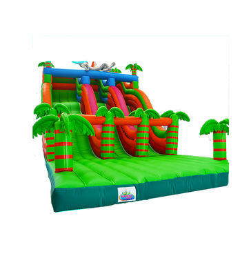 Colorful Inflatable Slides For Children For Parties And Playgrounds