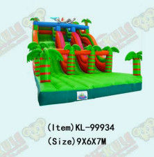 Colorful Inflatable Slides For Children For Parties And Playgrounds