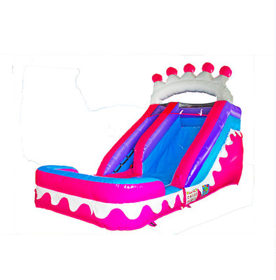 Pink Crown Inflatable Wet Dry Inflatable Slide With The Pool