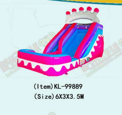 Pink Crown Inflatable Wet Dry Inflatable Slide With The Pool