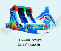 Ocean Amusement Parks  And Backyard Parties Inflatable Slides