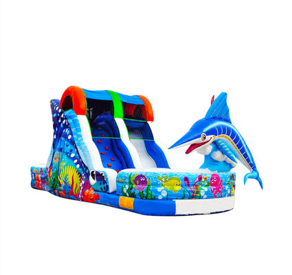 Ocean Amusement Parks  And Backyard Parties Inflatable Slides