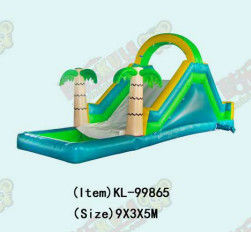Vibrant And Colorful Inflatable Slide For Children Exciting Sliding Experience