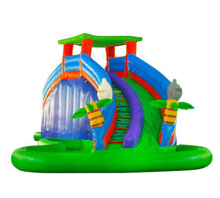 Aldult  Outdoor Rental Inflatable Large Water Slides With Bouncy