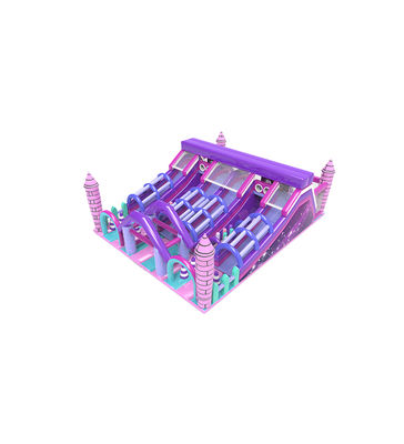 Purple Large Slide Children Fun Park Inflatable Playground