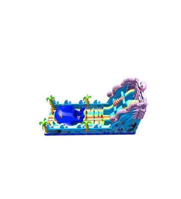 Whale Theme Fun Park Jumping Slides Commercial kids Playground