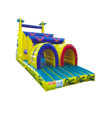 Fun - Filled Vibrant Playtime Joy Inflatable Bounce House: Exciting Play Spot