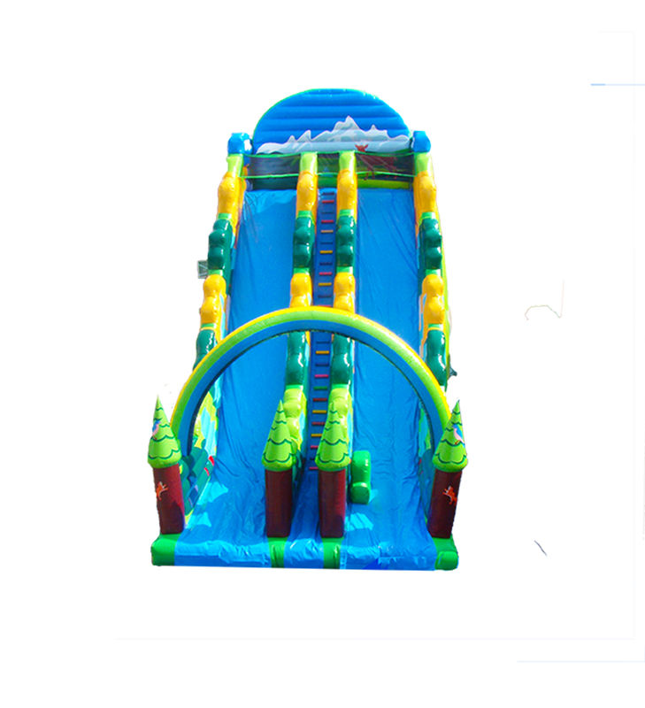 Blue Color Children Fun Park Inflatable Large Slide For Rentals