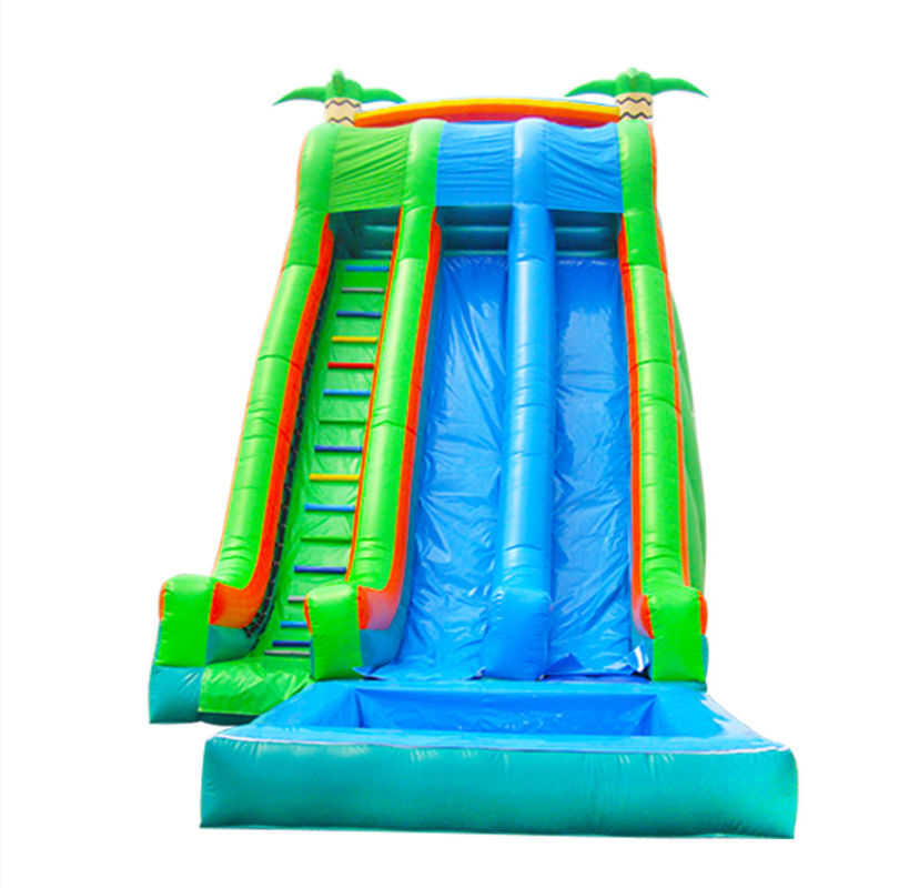 Vibrant And Colorful Inflatable Slide For Children Exciting Sliding Experience