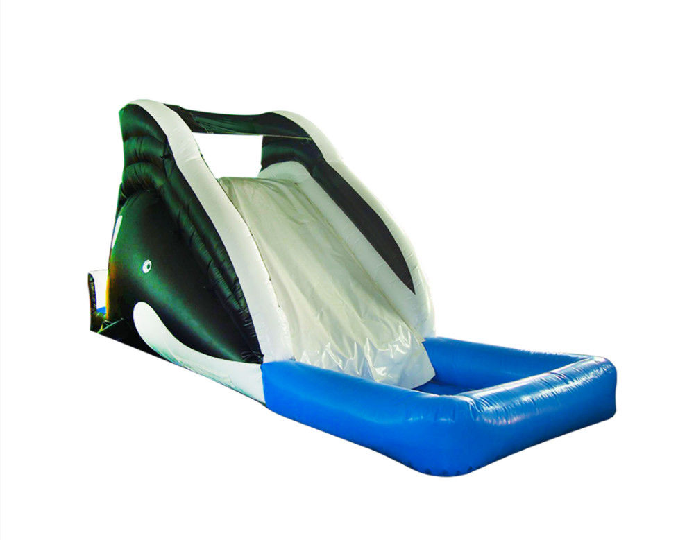 Vibrant And Colorful Inflatable Slide For Children Exciting Sliding Experience